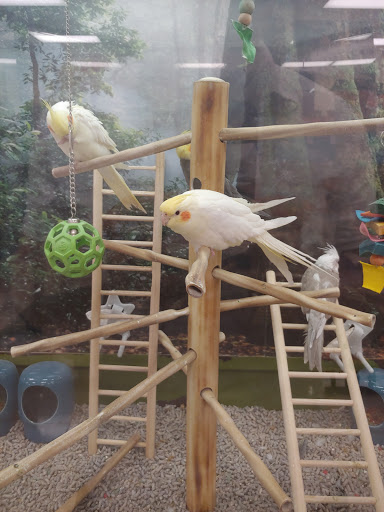 Pet Supply Store «Petco Animal Supplies», reviews and photos, 12641-310 Ocean Gateway, Ocean City, MD 21842, USA