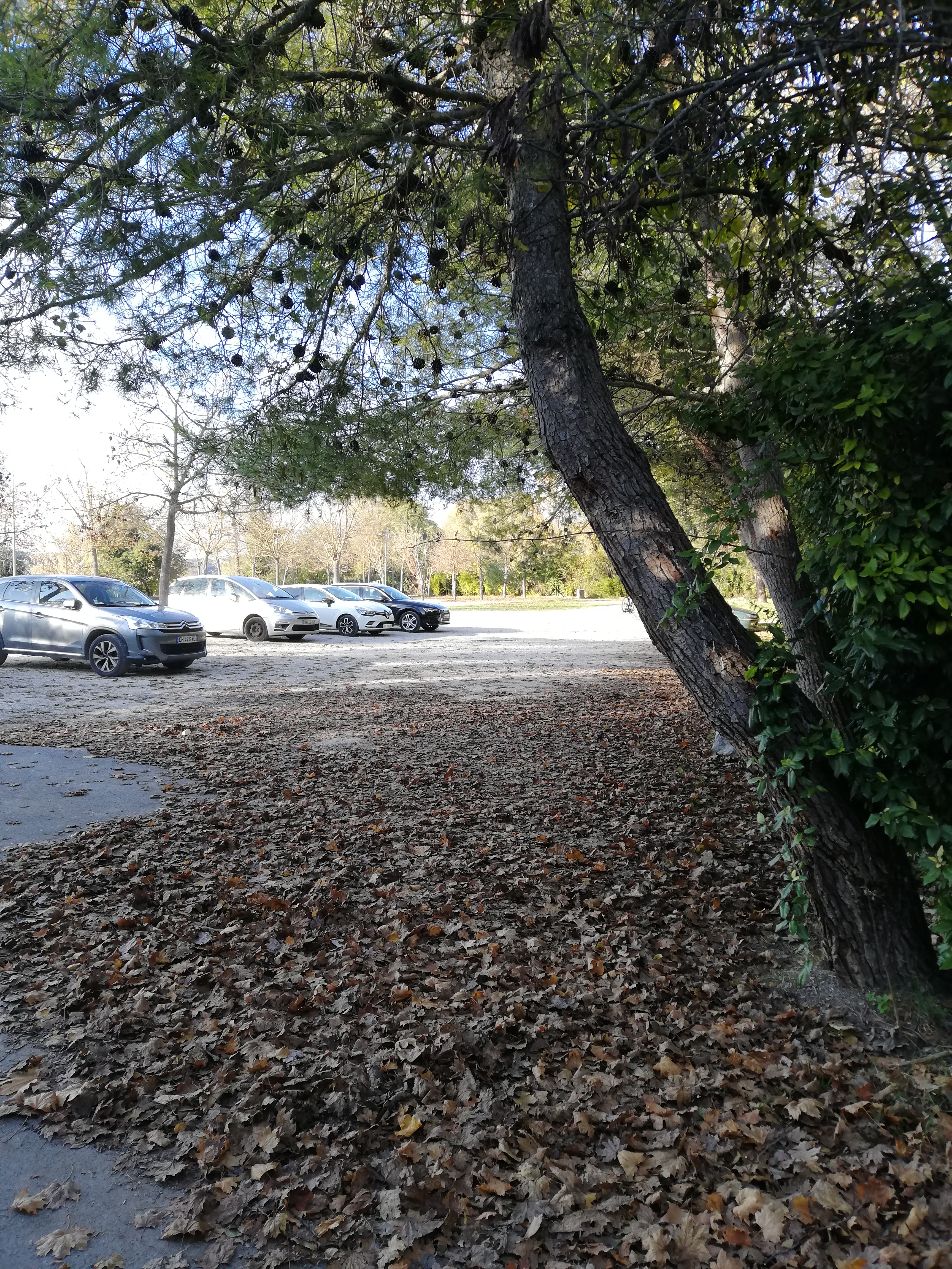 Photo n° 9 de l'avis de Oscéla.l fait le 23/11/2021 à 18:15