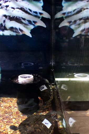 Pet Supply Store «Petco Animal Supplies», reviews and photos, 2041 U.S. 287 Frontage Rd #601, Mansfield, TX 76063, USA