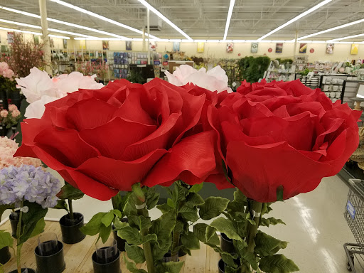Craft Store «Hobby Lobby», reviews and photos, 8195 S Tamiami Trail, Sarasota, FL 34231, USA
