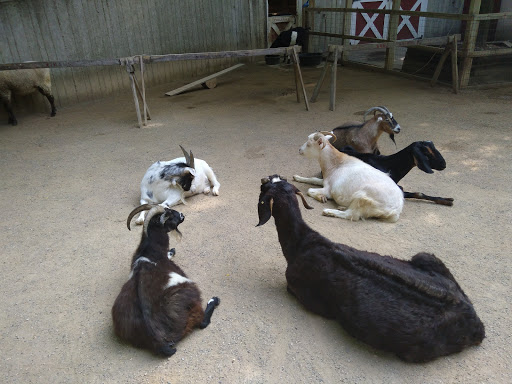 Zoo «John Ball Zoo», reviews and photos, 1300 West Fulton Street, Grand Rapids, MI 49504, USA