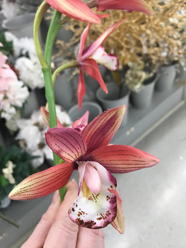 Craft Store «Michaels», reviews and photos, 350 Walt Whitman Rd, Huntington Station, NY 11746, USA