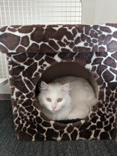 Pet Supply Store «Petco Animal Supplies», reviews and photos, 244 Pioneer Trail, Chaska, MN 55318, USA