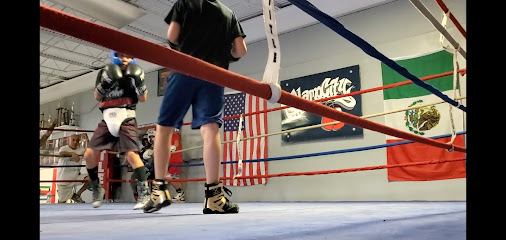 Alamo City Boxing Club - 1804 SW Loop 410, San Antonio, TX 78227