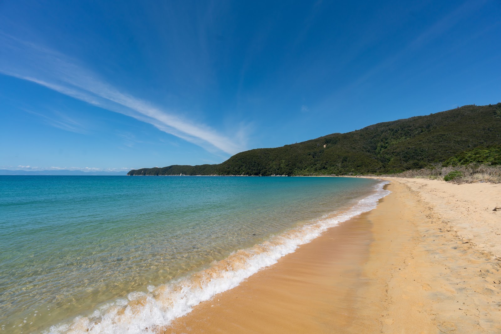 Onetahuti Beach的照片 带有长湾