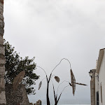 Photo n°8 de l'avis de gyslain.a fait le 23/03/2024 à 13:18 sur le  Casa Velha à Cacela Velha