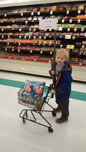 Grocery Store «Food Lion», reviews and photos, 558 W Main St, Stanley, VA 22851, USA