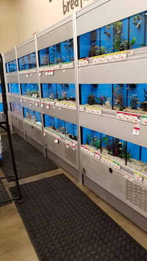 Pet Supply Store «Pet Supplies Plus», reviews and photos, 417 US-46, Dover, NJ 07801, USA