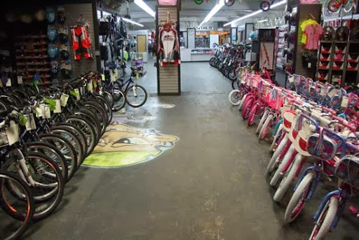 Bicycle Store «Plaine And Son», reviews and photos, 1816 State St, Schenectady, NY 12304, USA