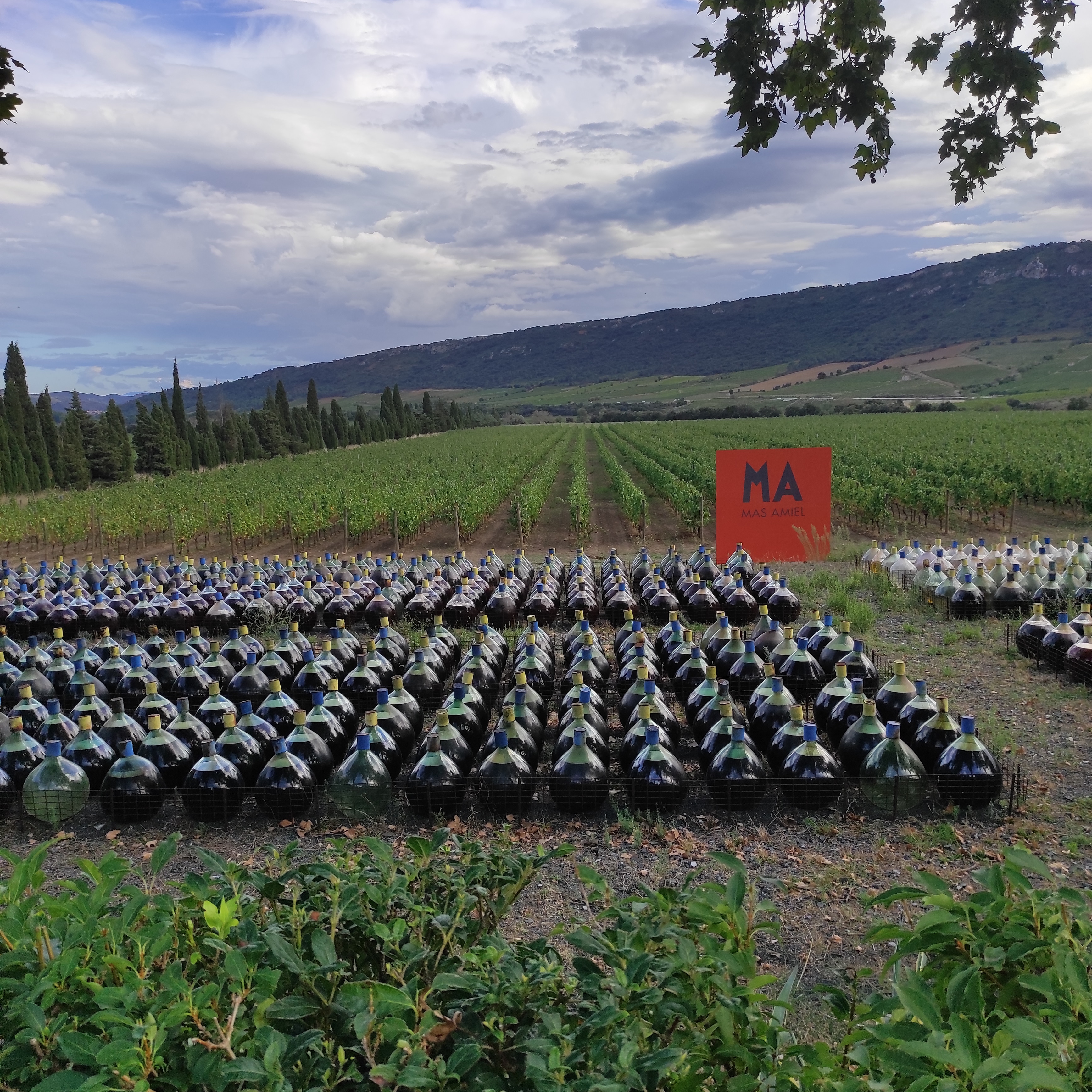 Photo n° 1 de l'avis de Kore. fait le 16/09/2021 à 15:56