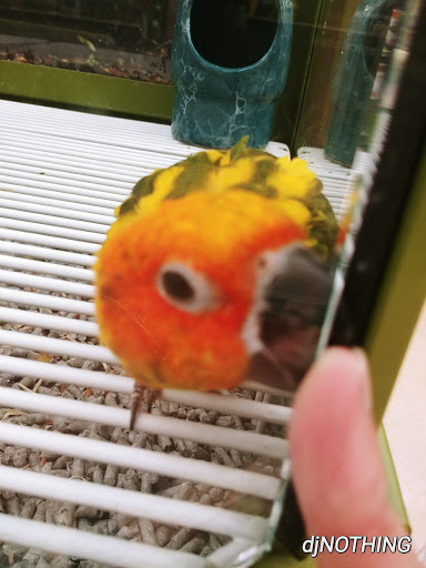 Pet Supply Store «Petco Animal Supplies», reviews and photos, 3055 Columbia Blvd #117, Titusville, FL 32780, USA