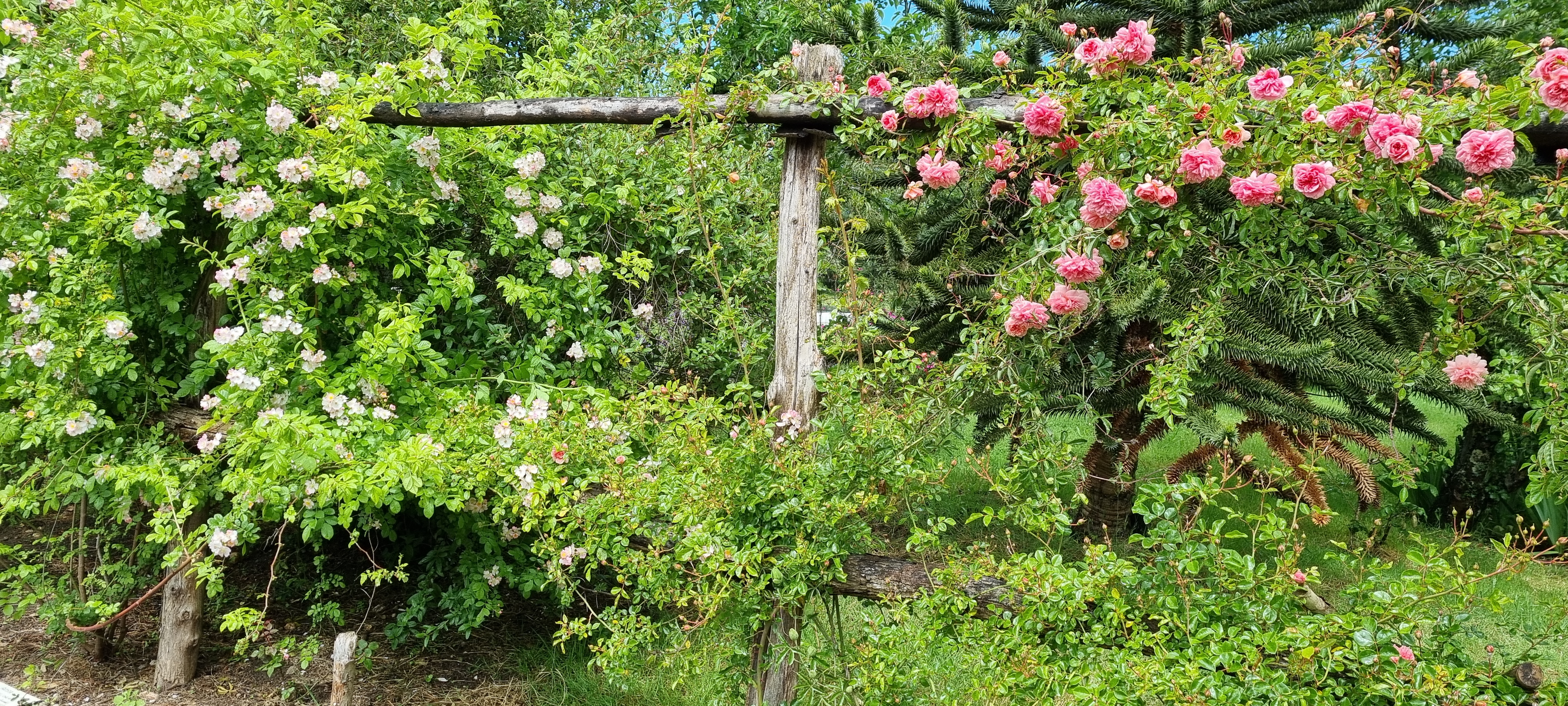 Photo n° 28 de l'avis de Lavialle.e fait le 24/05/2021 à 16:18
