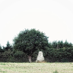 Photo n°3 de Menhir des Cassis à Corsept ()