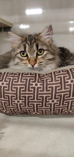 Pet Supply Store «Petco Animal Supplies», reviews and photos, 2277 Ford Pkwy, St Paul, MN 55116, USA