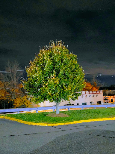 Gym «Planet Fitness», reviews and photos, 855 Lakewood Rd, Waterbury, CT 06704, USA