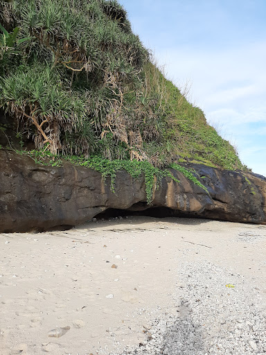 Top 20 cửa hàng akemi Huyện Lý Sơn Quảng Ngãi 2022