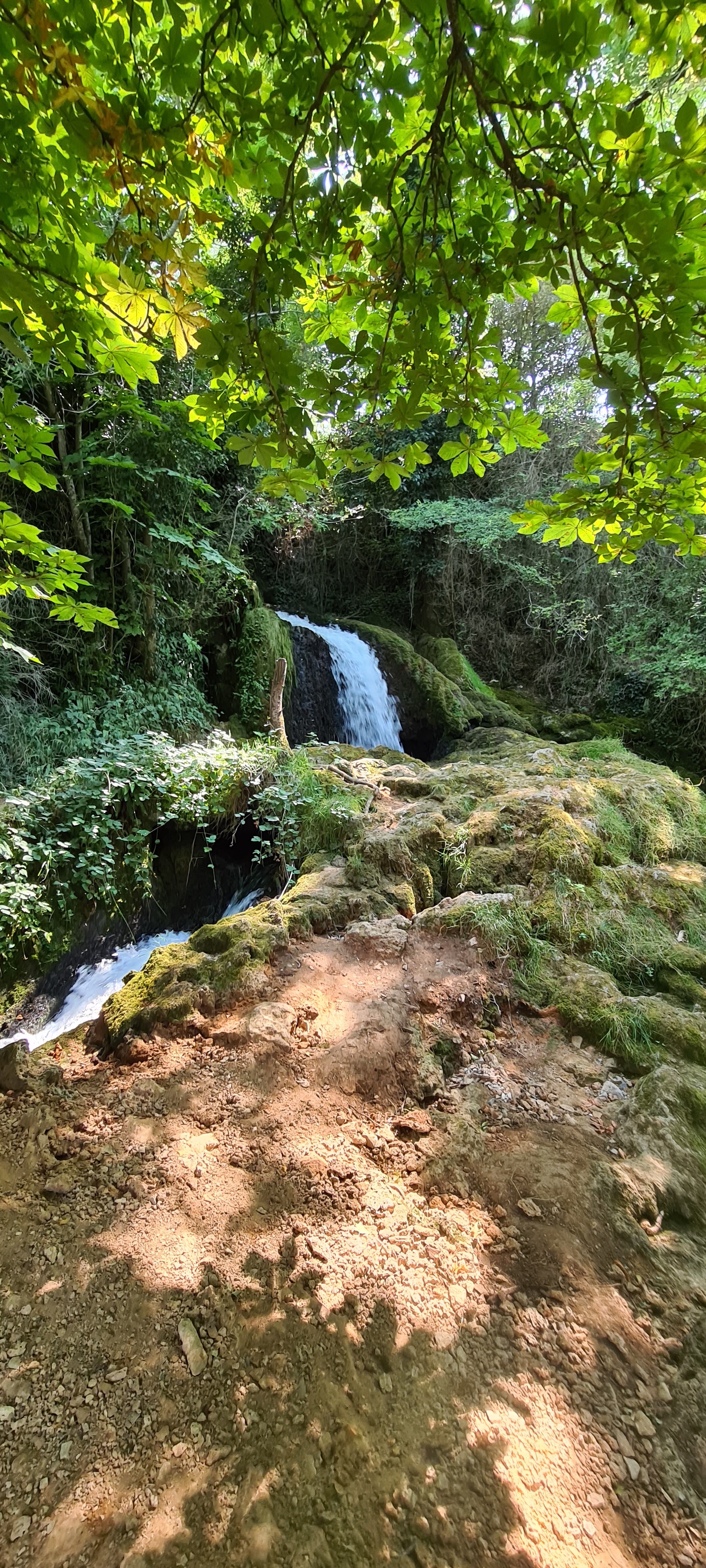 Photo n° 10 de l'avis de niels.u fait le 21/07/2020 à 14:22