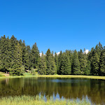 Photo n°3 de l'avis de Dirk.i fait le 08/08/2020 à 18:42 sur le  Gasthaus Seespitz à Marling