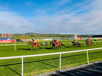 Punchestown Racecourse