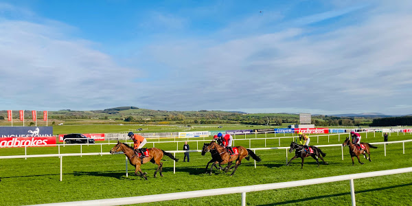 Punchestown Racecourse