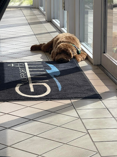 Nissan Dealer «Pat Peck Nissan - Gulfport», reviews and photos, 9480 US 49, Gulfport, MS 39503, USA