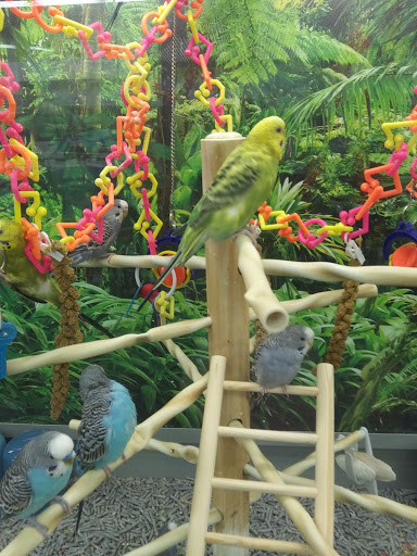 Pet Supply Store «Petco Animal Supplies», reviews and photos, 10225 Ocean Hwy #501, Pawleys Island, SC 29585, USA