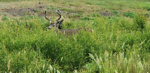 Golf Course «Monterey Peninsula Dunes Golf Course», reviews and photos, 3000 Club Rd, Pebble Beach, CA 93953, USA
