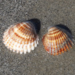 Photo n°1 de l'avis de Massimo.o fait le 22/07/2018 à 09:02 sur le  Hotel Dover à Cervia