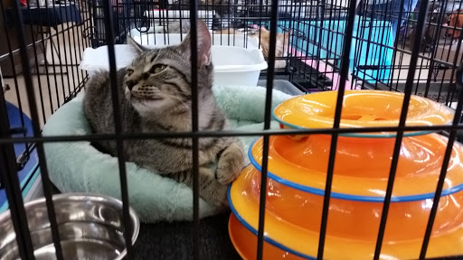 Pet Supply Store «Petco Animal Supplies», reviews and photos, 5631 Grove Blvd, Hoover, AL 35226, USA