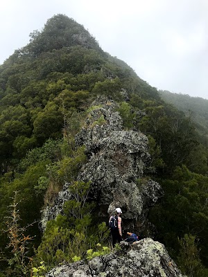 Kaala Hiking Trail - photo 4