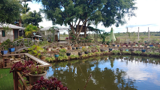 Đồi sim