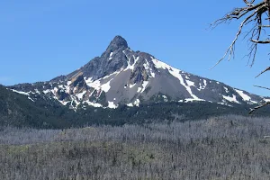 Mt Washington image