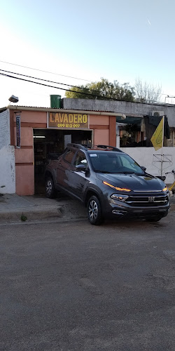 Opiniones de PROLAVADOS factura con RUT y débito. en Río Negro - Servicio de lavado de coches