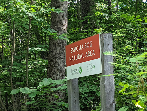 Nature Preserve «Eshqua Bog Natural Area», reviews and photos, Garvin Hill Rd, Woodstock, VT 05091, USA