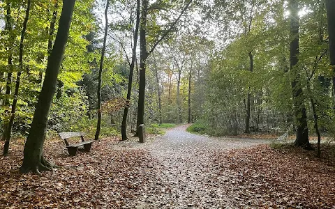 Grafenberg Forest image
