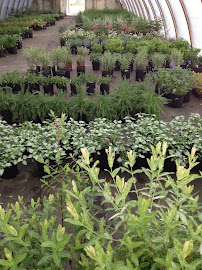 DeHamer Landscaping - Photo 8 - Car repair in Grandville, MI, Grand Rapids