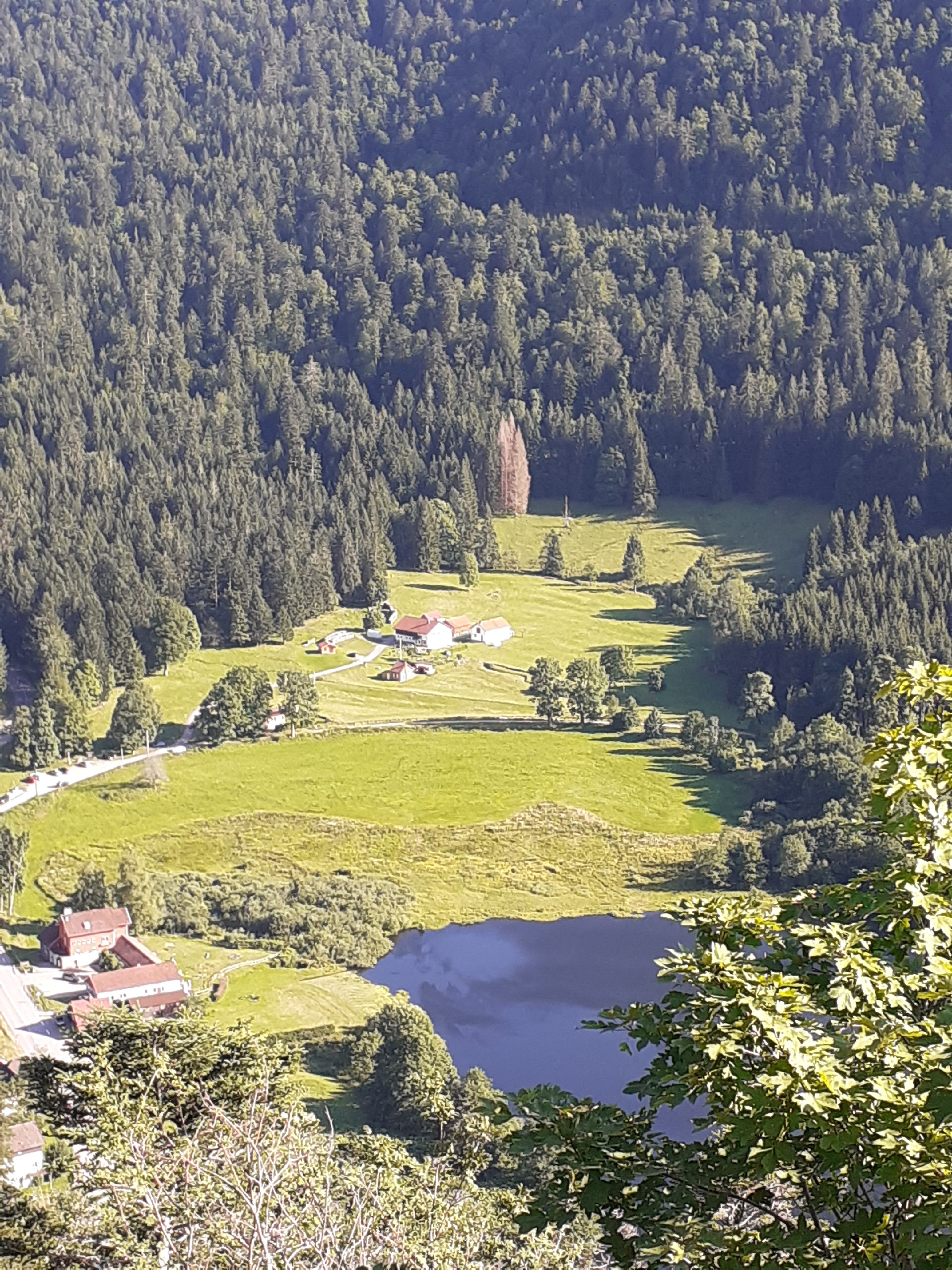 Photo n° 4 de l'avis de DELARUE.A fait le 15/08/2021 à 08:04