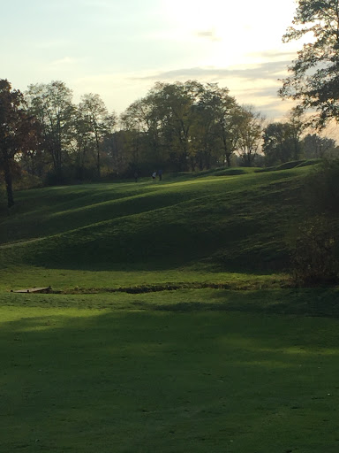 Golf Course «Legendary Run Golf Course», reviews and photos, 915 E Legendary Run, Cincinnati, OH 45245, USA