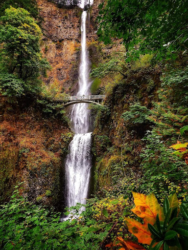 Golf Course «RedTail Golf Center», reviews and photos, 8200 SW Scholls Ferry Rd, Beaverton, OR 97008, USA