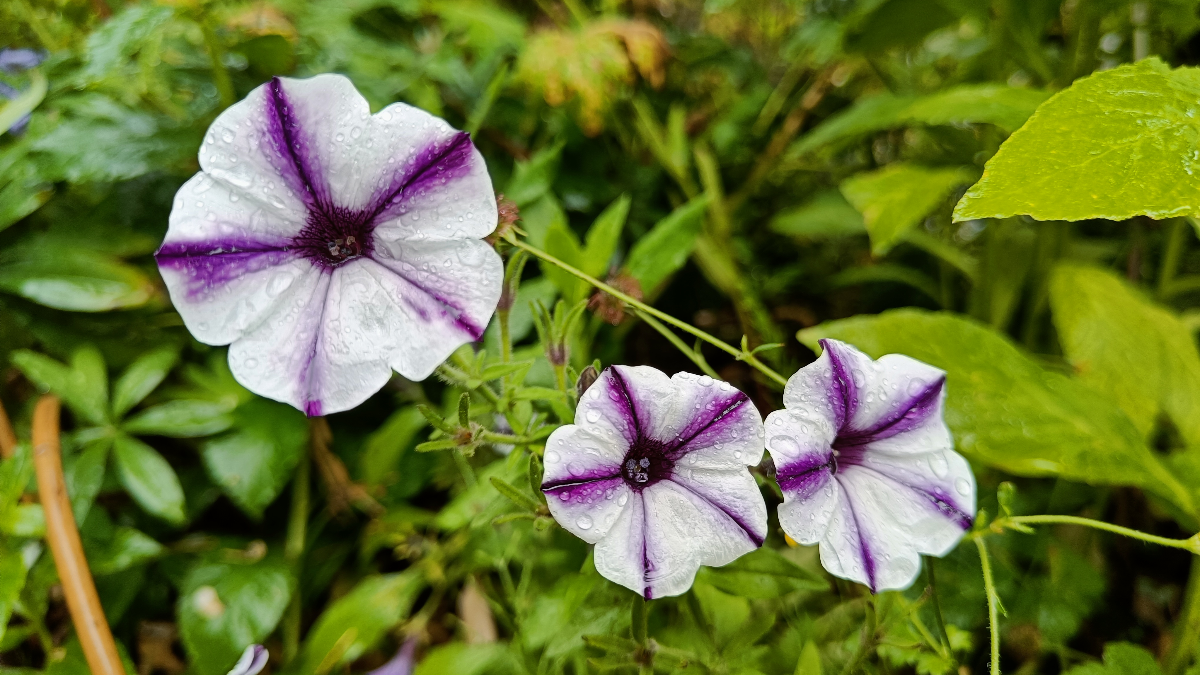 Photo n° 37 de l'avis de Eliot.o fait le 28/07/2023 à 16:35