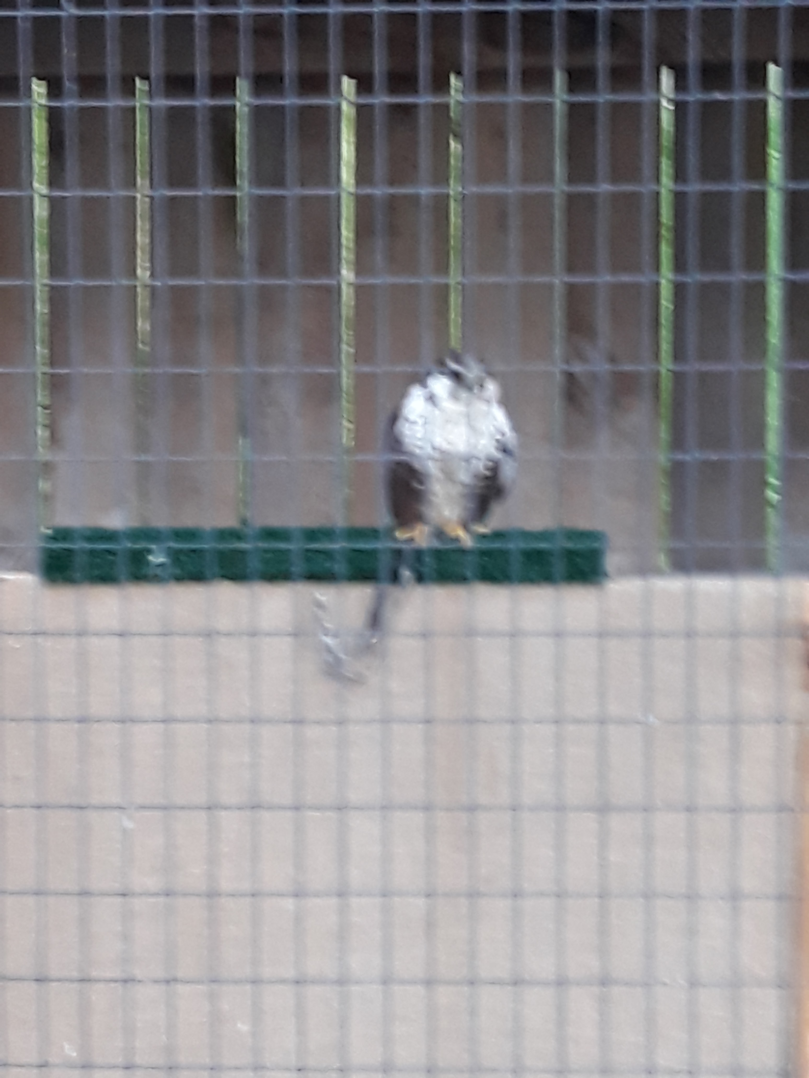 Photo n° 9 de l'avis de Mimi.2 fait le 20/03/2018 à 17:20