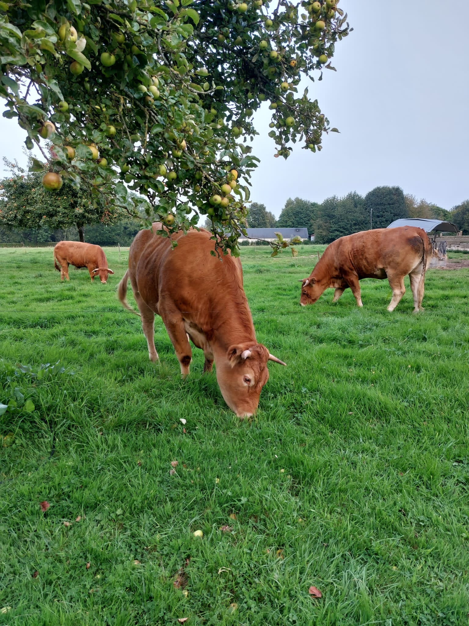 Photo n° 3 de l'avis de BertusS. fait le 10/09/2023 à 19:05