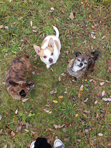 Nature Preserve «Beaverton Creek Wetlands Natural Area», reviews and photos, SW 153rd Dr, Beaverton, OR 97006, USA