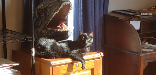 All Natural Pet Center, 7139 Marine Rd, Edwardsville, IL 62025, USA, 