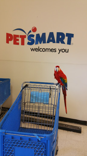 Pet Supply Store «PetSmart», reviews and photos, 33963 Doheny Park Rd, San Juan Capistrano, CA 92675, USA