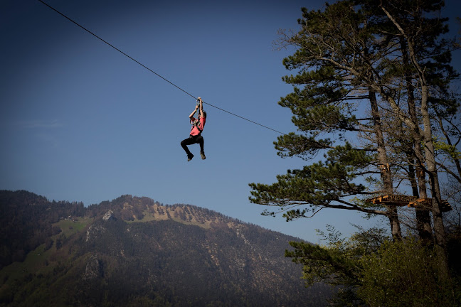 Flying Fox