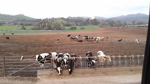 Dairy farm Oceanside