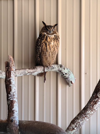 Zoo «Gulf Breeze Zoo», reviews and photos, 5701 Gulf Breeze Pkwy, Gulf Breeze, FL 32563, USA