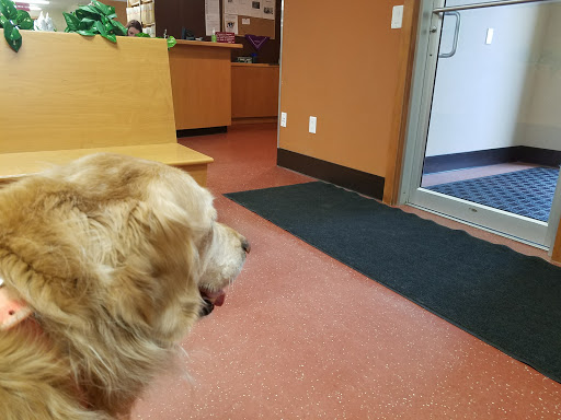 Oregon Veterinary Clinic image