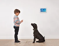 Secure24 Alarm Systems - Car repair in , Austin - Rated 0.0/5